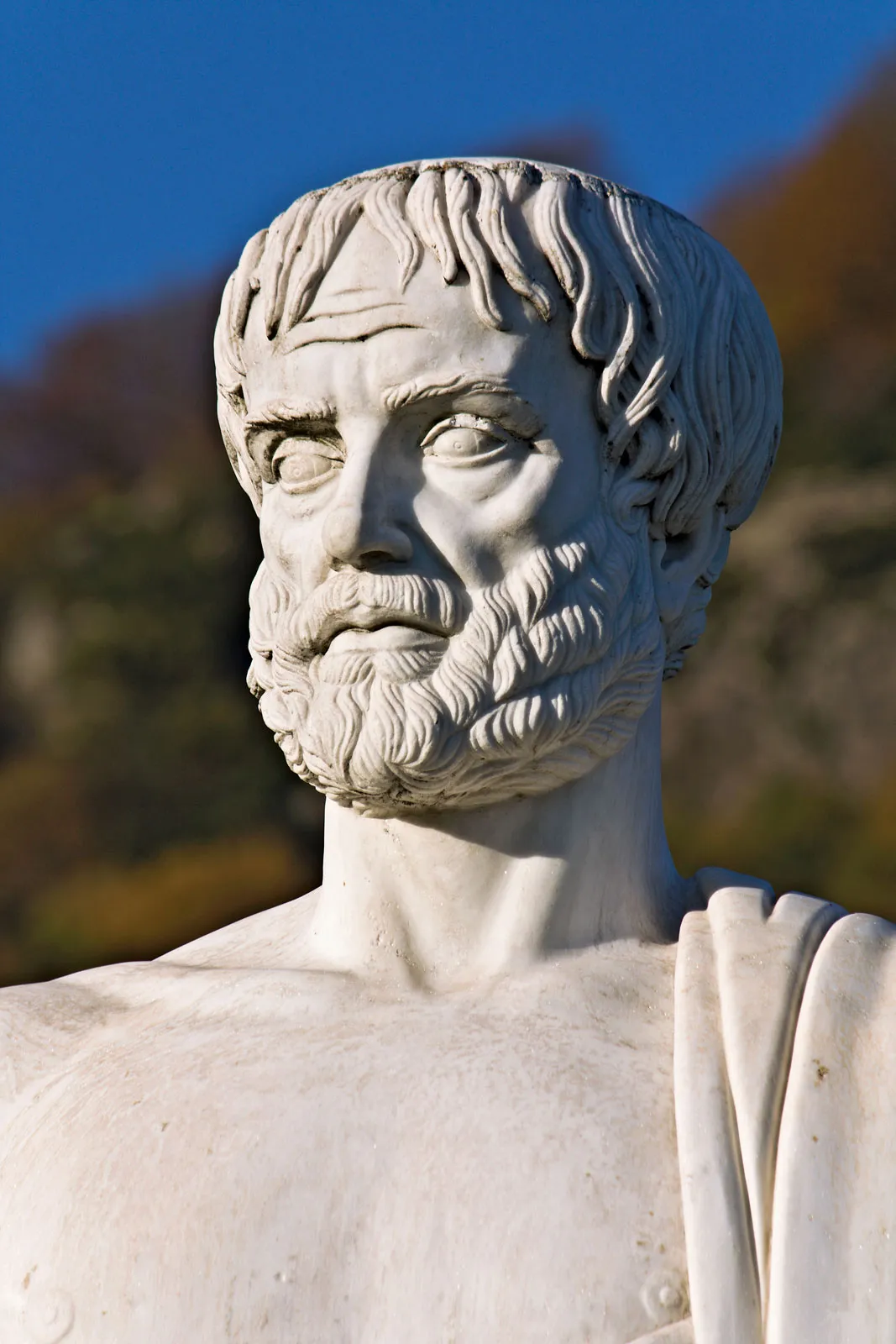 Aristotle (384-322 BCE)